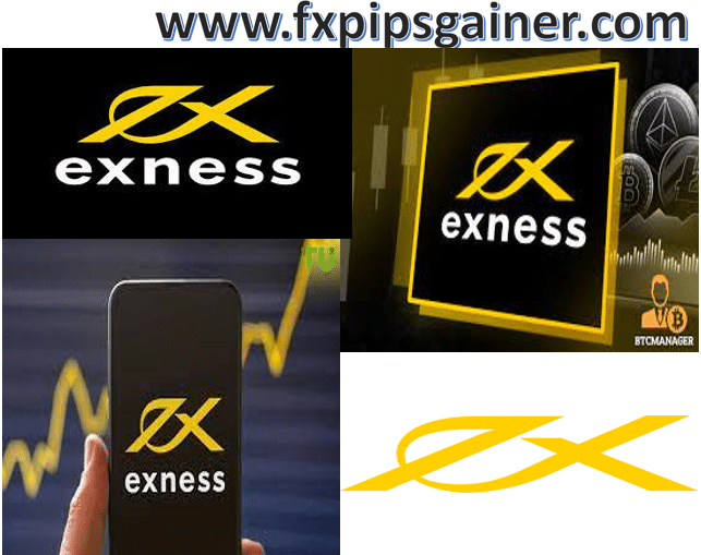 Exploring the Features of Exness Trading Platform Exploring the Features of Exness Trading Platform